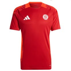 Adidas Bayern Munich 2024/25 Men's Teamline Coach Training Shirt