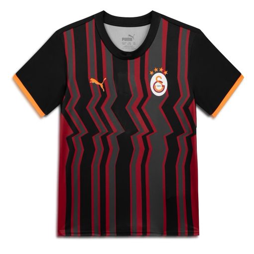 Puma Galatasaray 2024/25 Youth Third Shirt