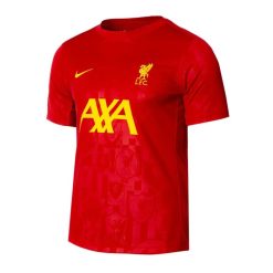 Nike Liverpool 2024/25 Men's Academy Pro Pre Match Shirt